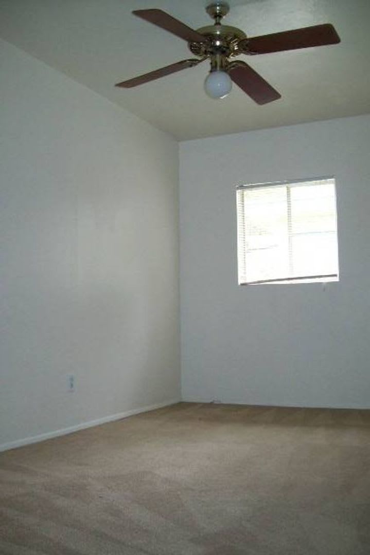 ✨ 1 Bed 1 Bath in Tempe – photo 5