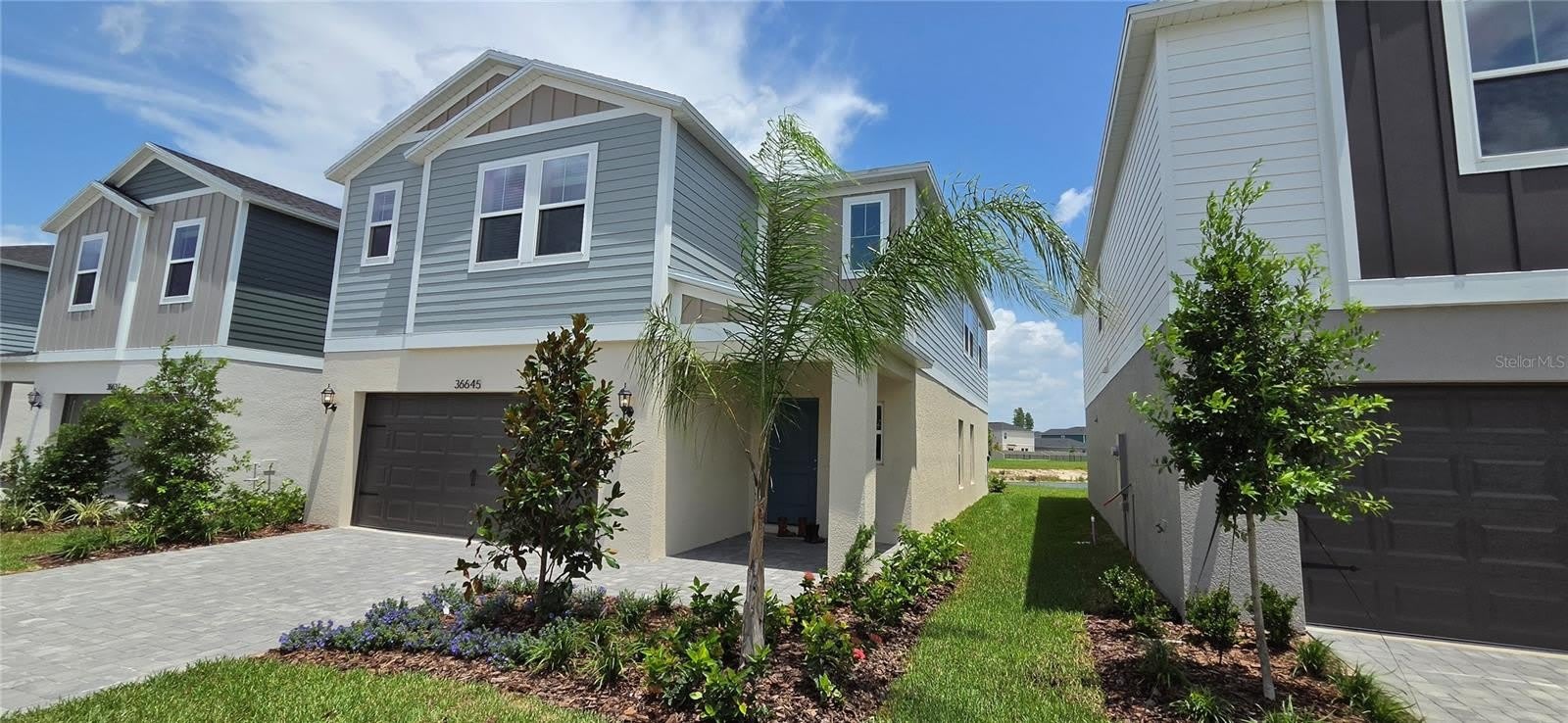 36645 SAGEMOOR Drive – photo 4