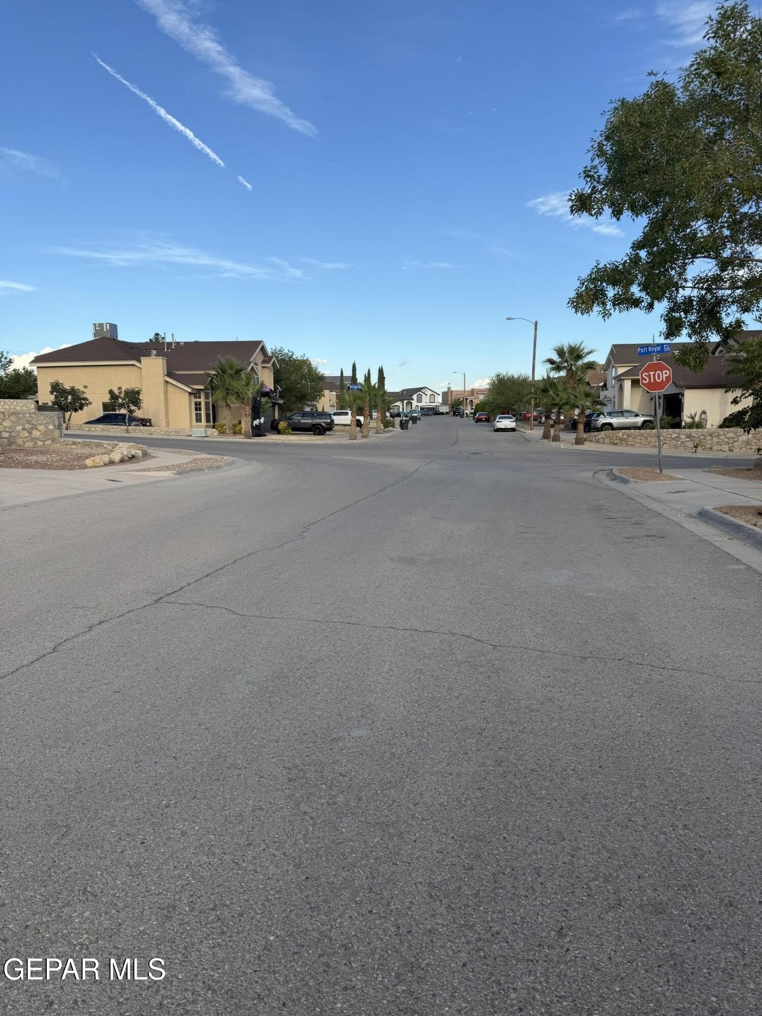 12253 HOLY SPRINGS Court – photo 3