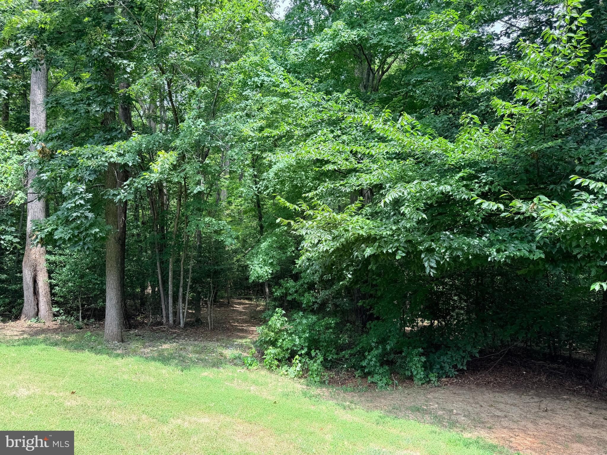 278 Richland Road – photo 4