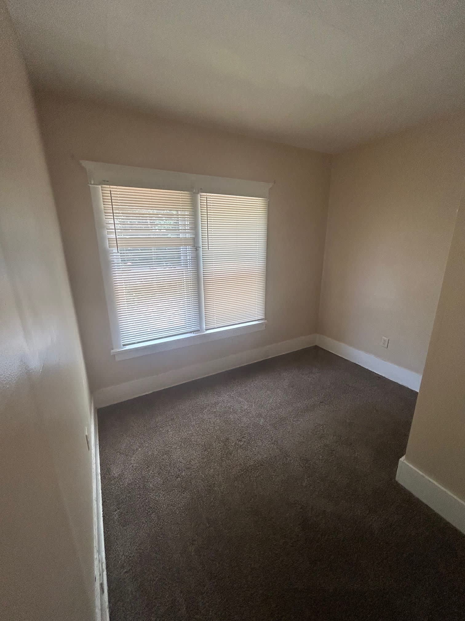 63 Montrose Avenue – photo 5