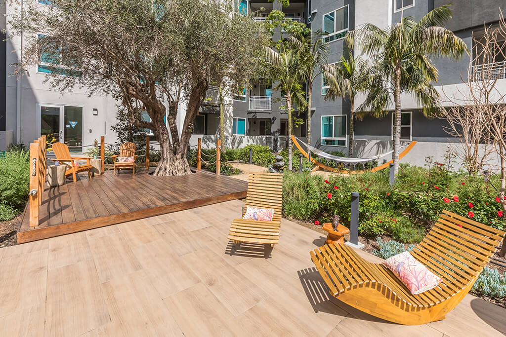 Vita Apartment Homes – photo 5