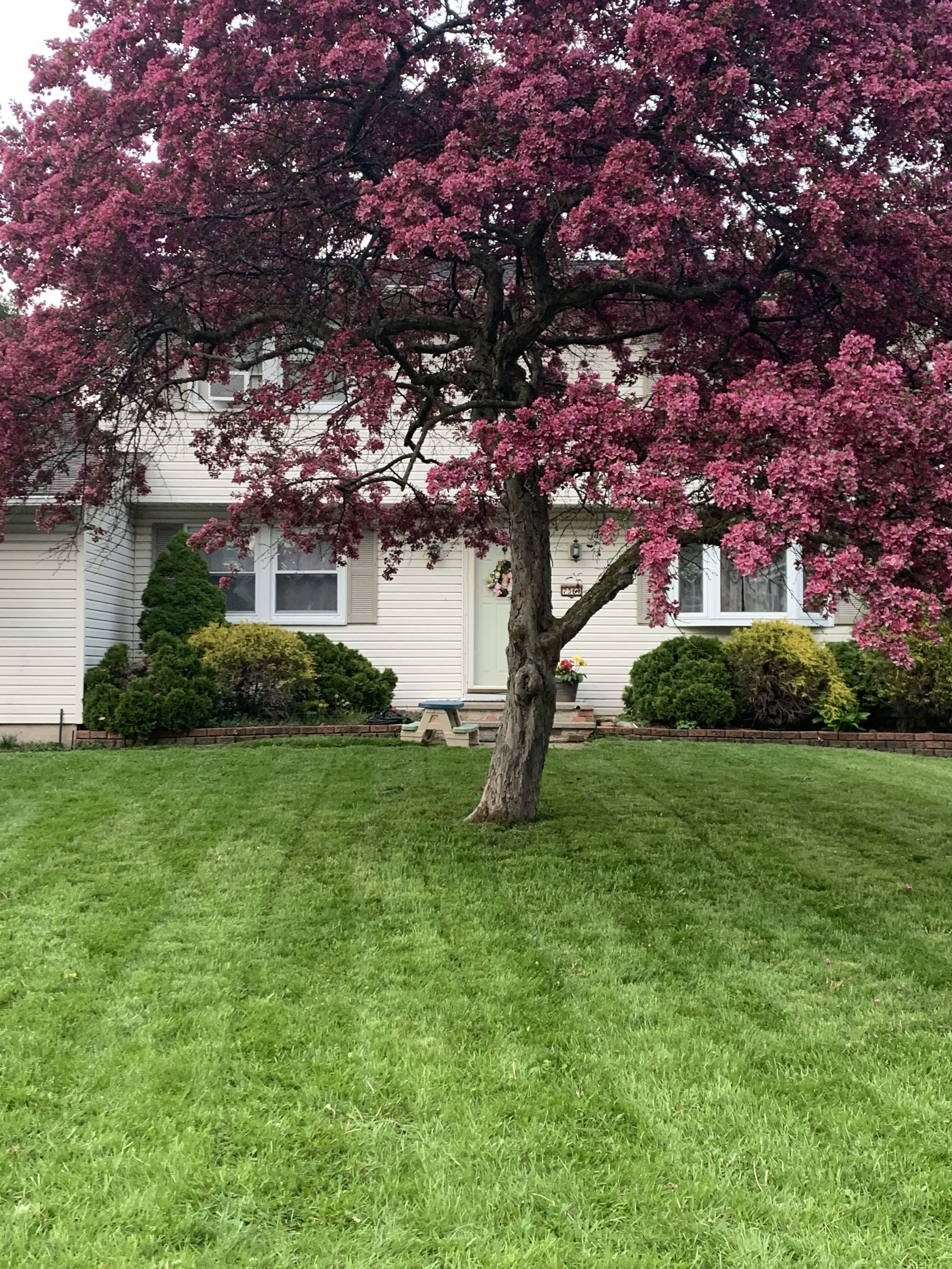 7361 Cedar Post Road – photo 1