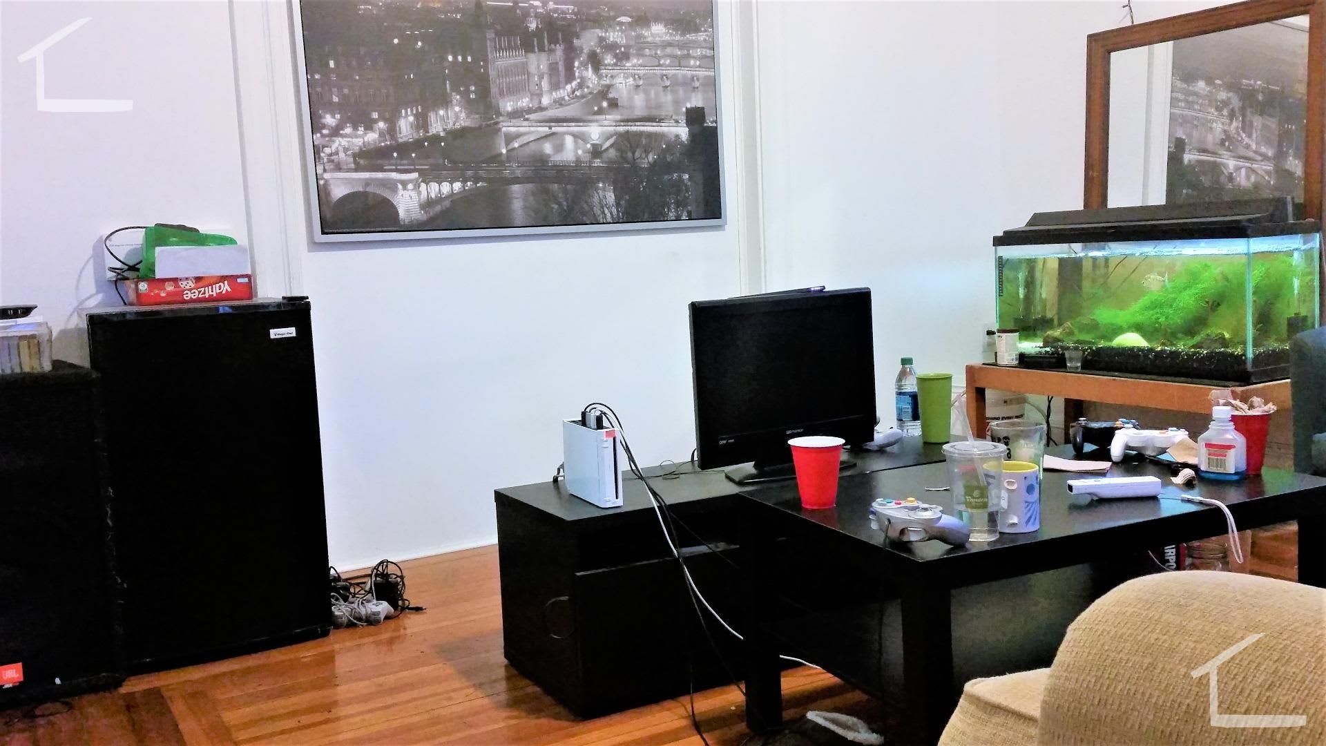 Unique BU Apartment – photo 5