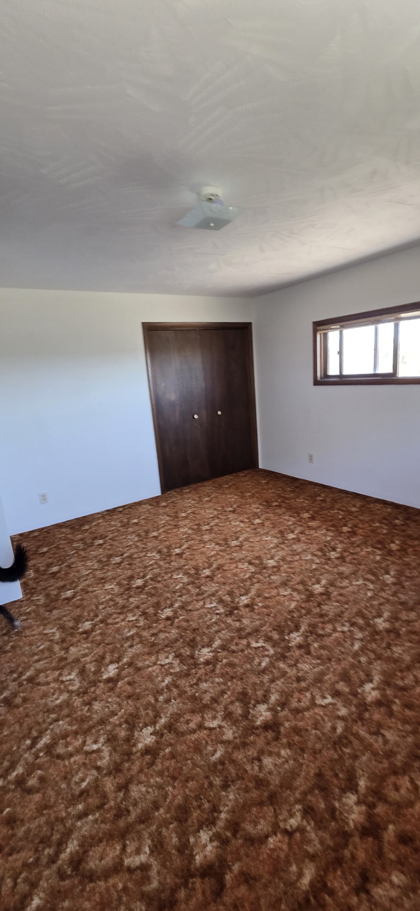 221 Cactus Drive – photo 4