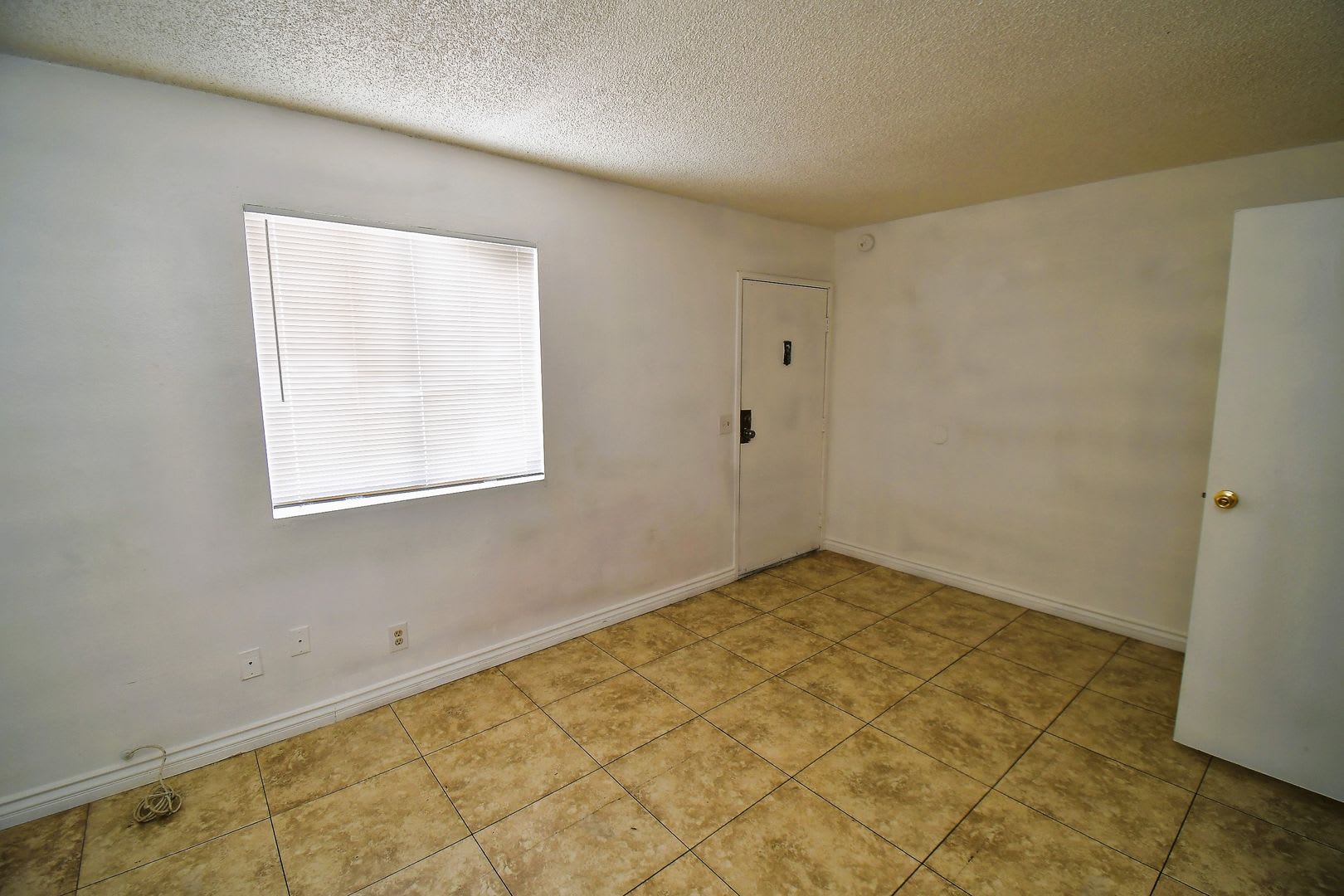 Efficient Studio – photo 3