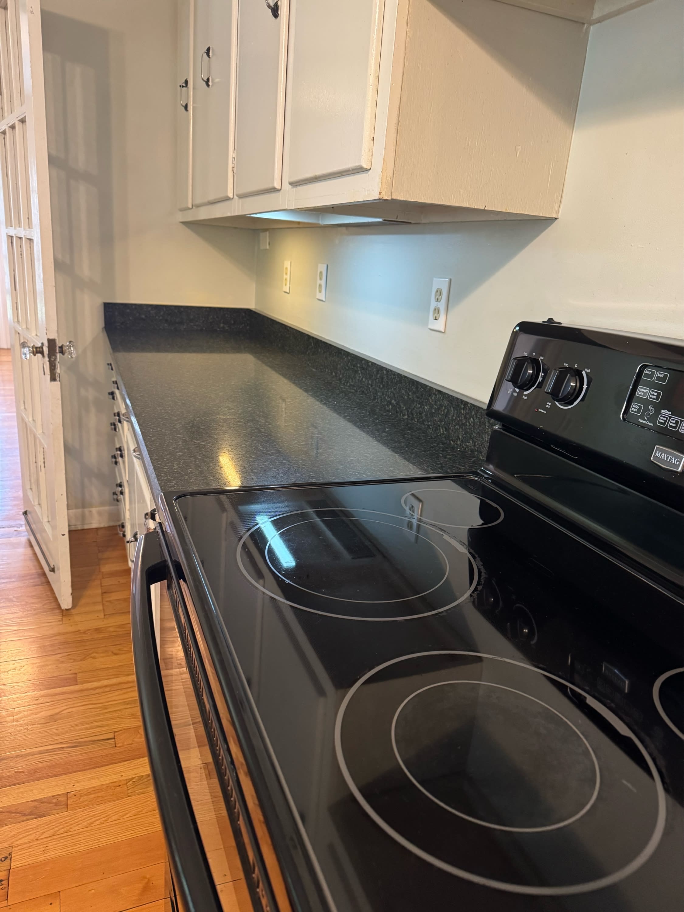 36 Beverly Place – photo 5