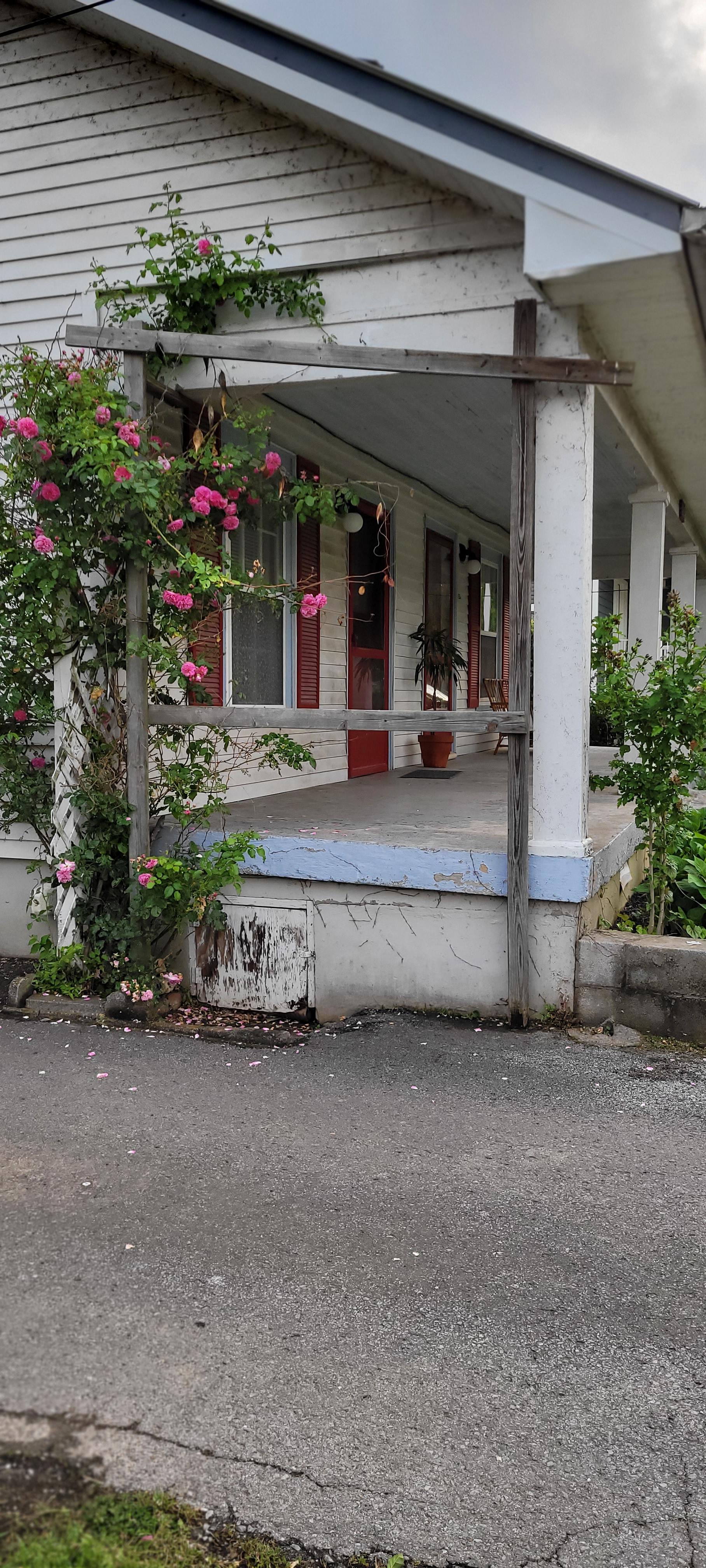303 Morton Ave – photo 3