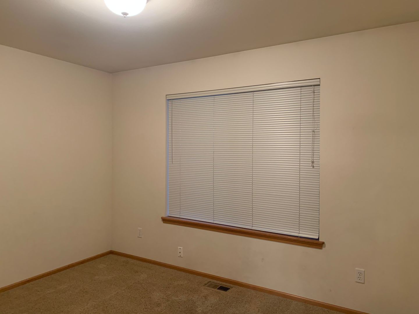 1163 Homestead Drive – photo 5
