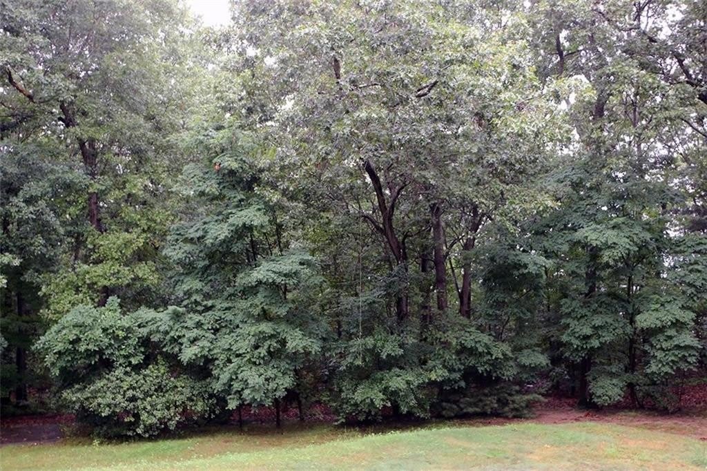 52 Charcalee Drive – photo 5
