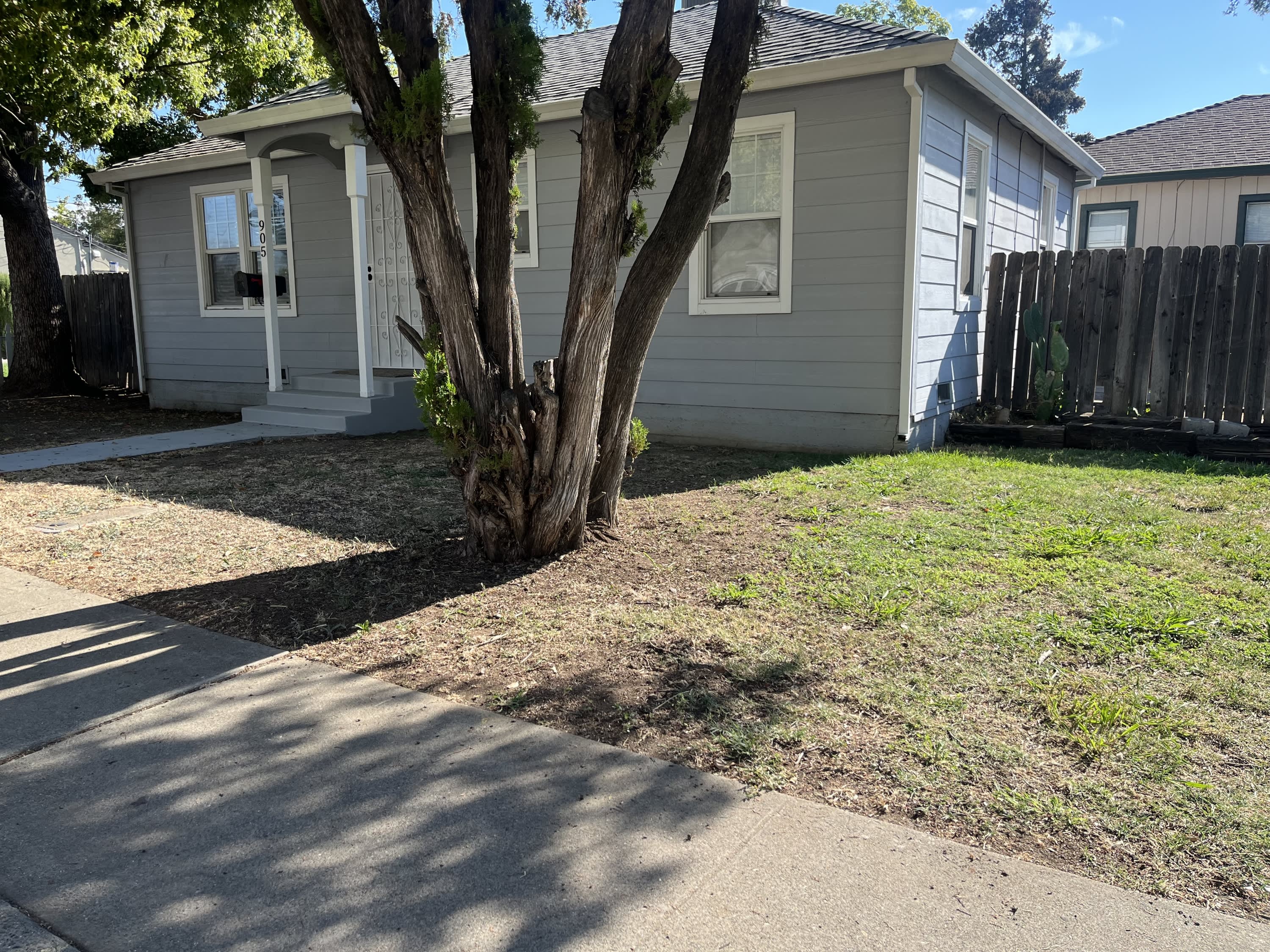 905 Orange Street – photo 2