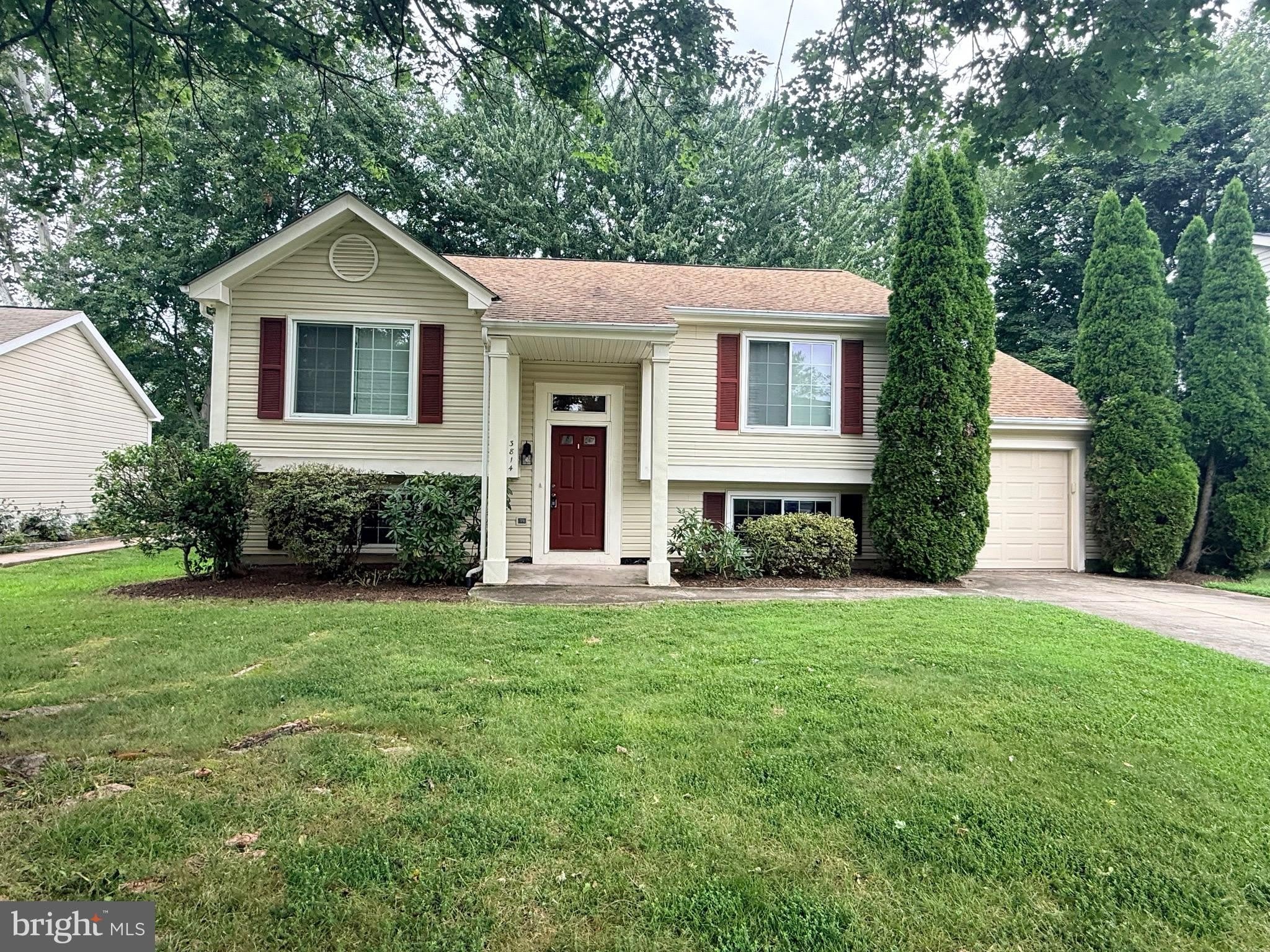 3814 BEECH DOWN Drive – photo 3