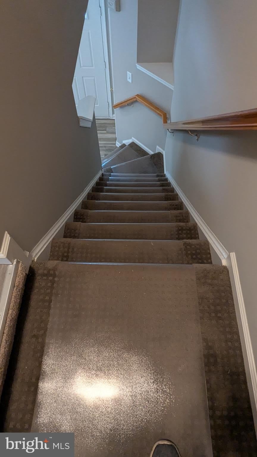 1875 Tiger Lily Circle – photo 4