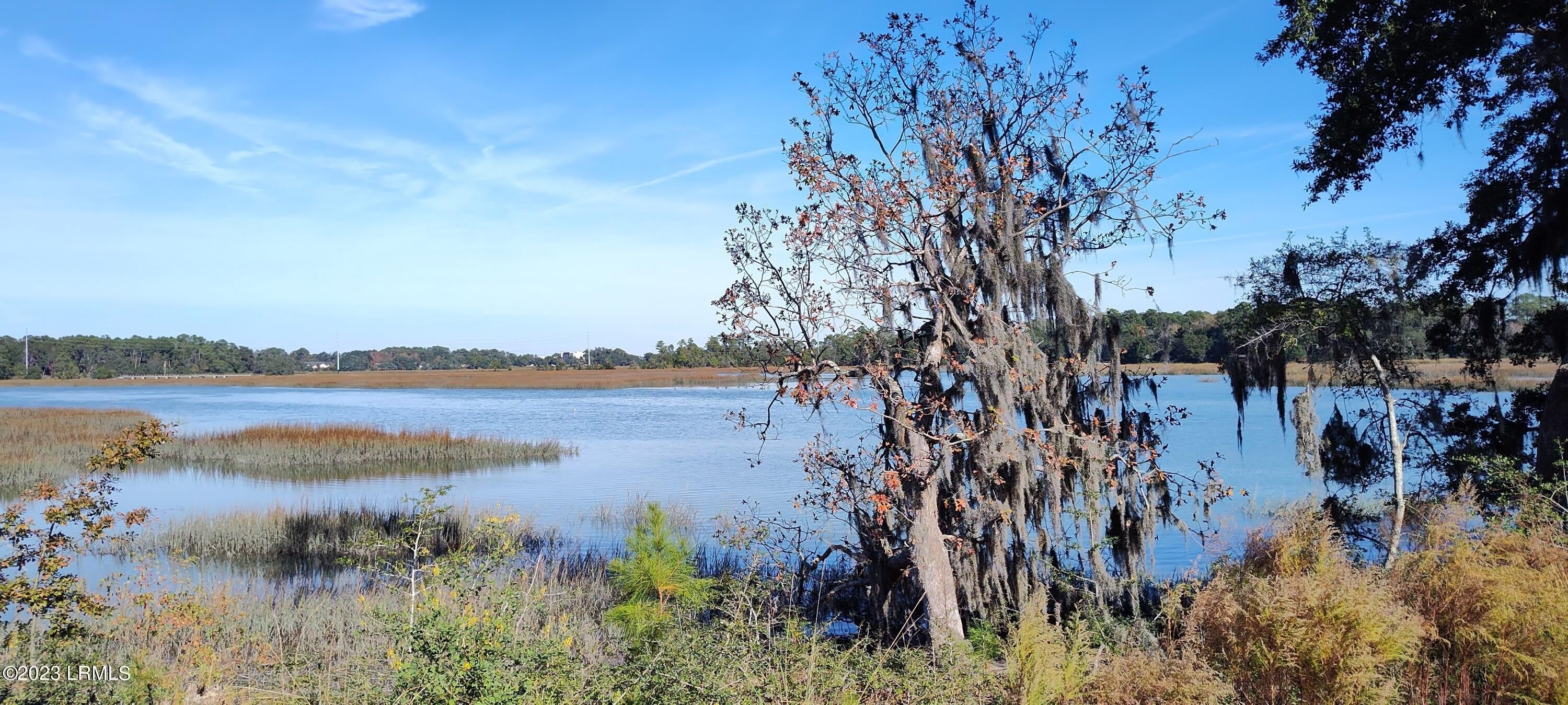 1272 Windswept Oak Lane – photo 2