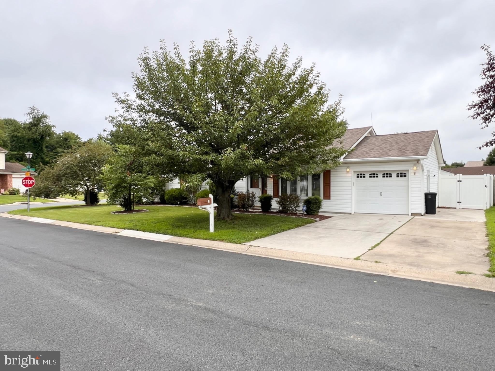 8 ROSE Terrace – photo 2
