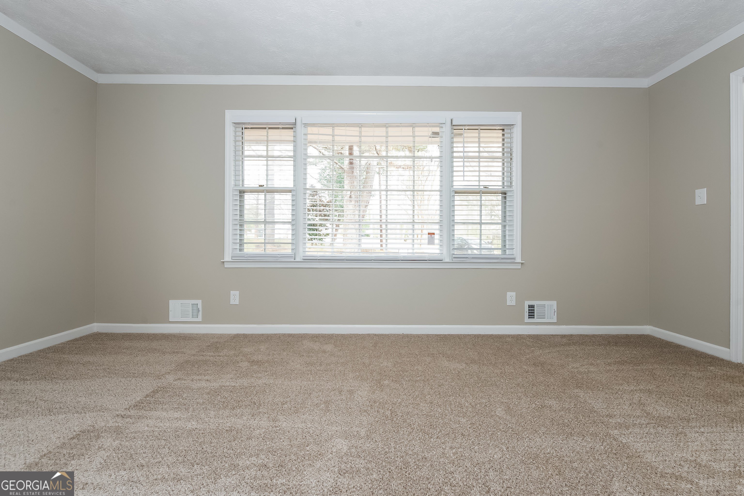 430 Amity Court – photo 4