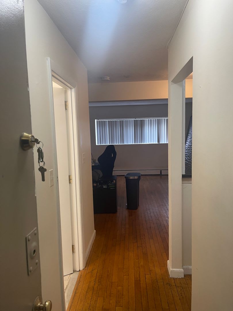 Free Momth Allston Oversized Sunny Modern 2 bed with Parking ava Ht Hw Inc Included, Students and Pets ok – photo 2