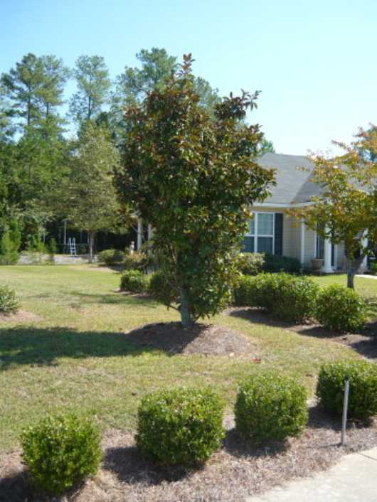 Adorable North Augusta Ranch Home – photo 3