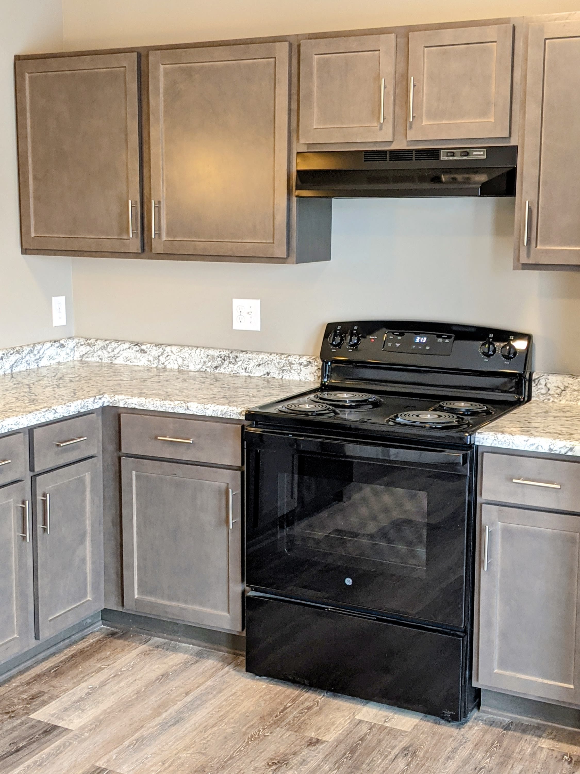 12522 Orell Crossing Circle -202 – photo 5