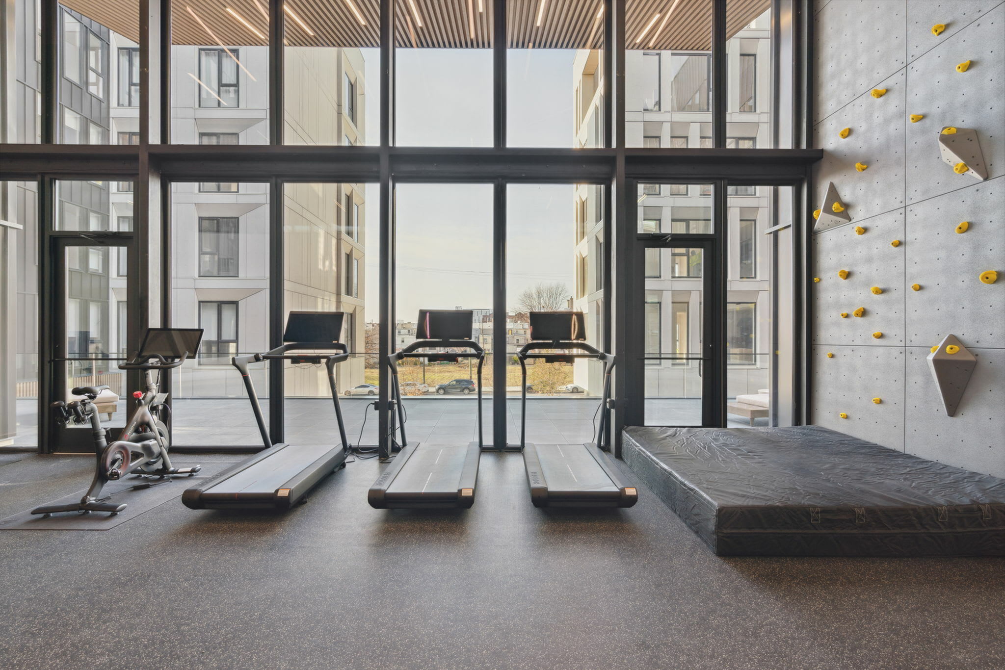 The Luxe – photo 3