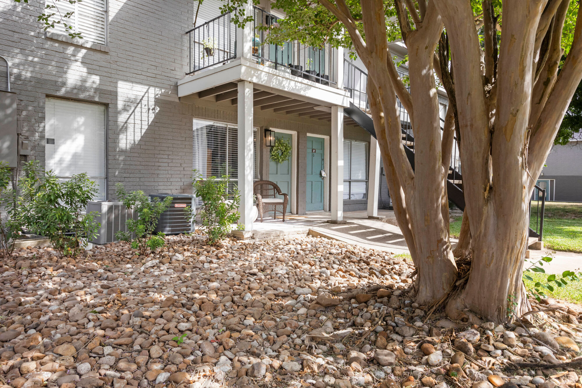 The Ivy – photo 5
