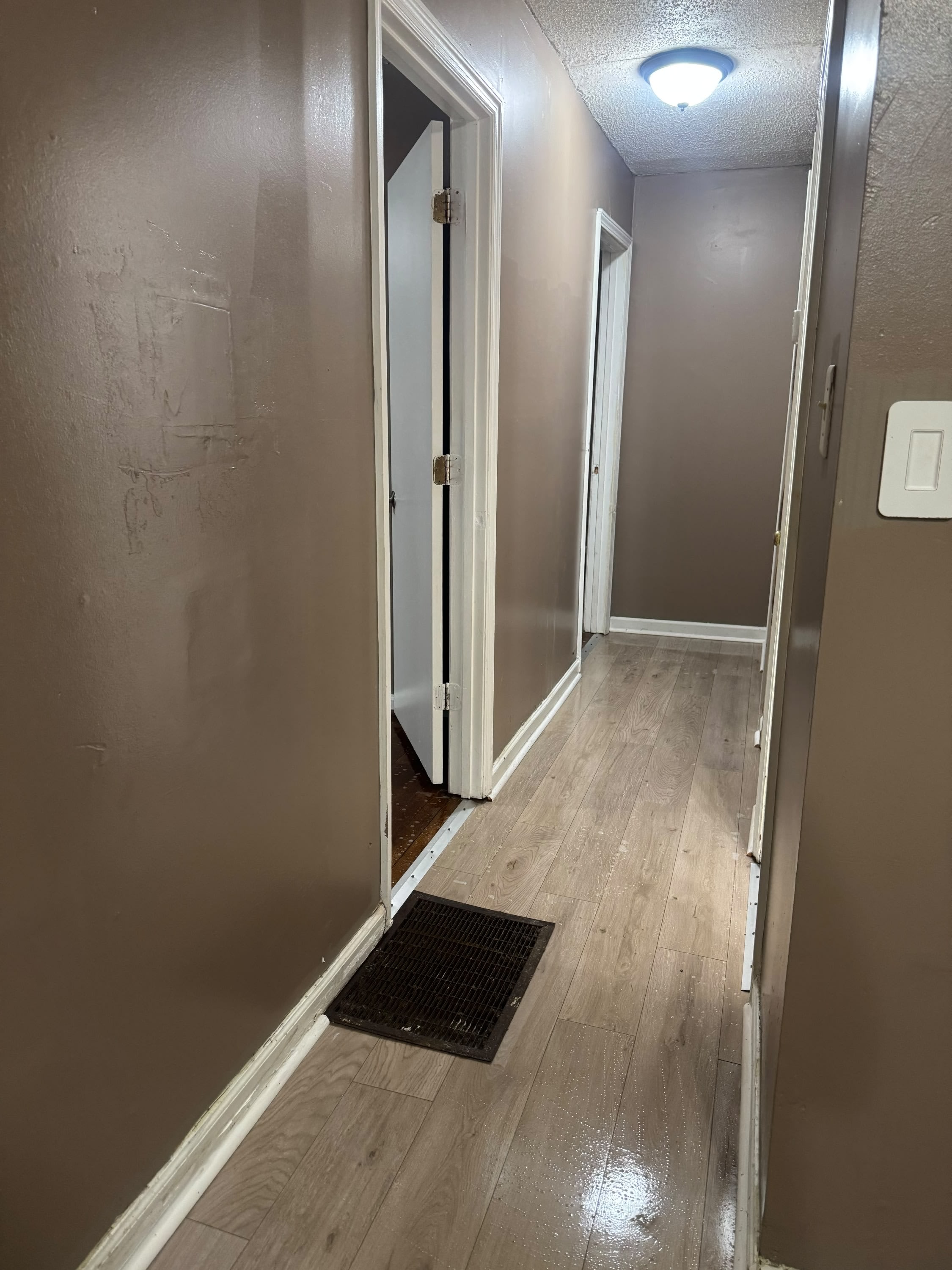 4 Orchid Place – photo 2