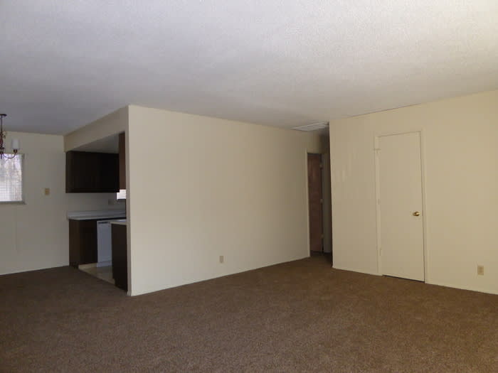 17 Glenn Ayre Street – photo 4
