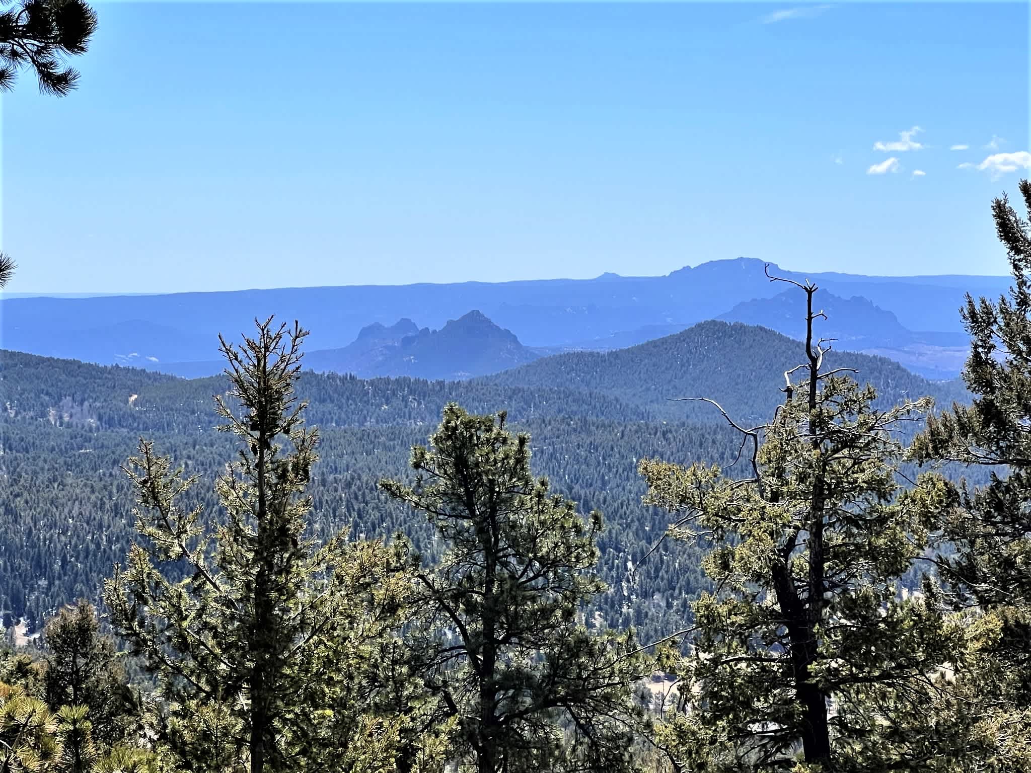 11730 Baca Road – photo 4