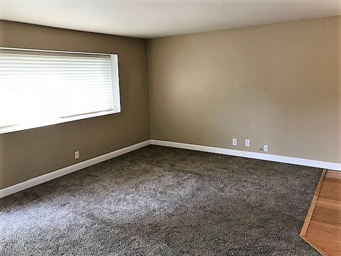 3 Bedroom with Fenced Yard in Laguna Lake – photo 3