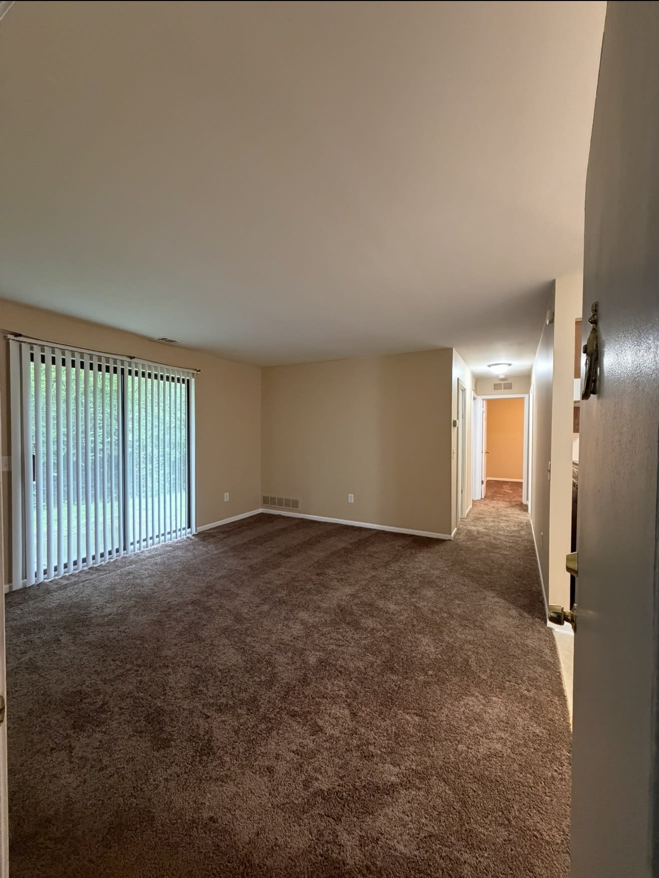35401 Hickory Woods Drive – photo 2