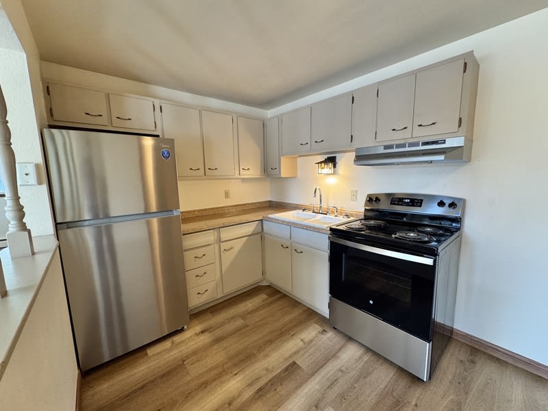 2146 Carstensen Lane – photo 3