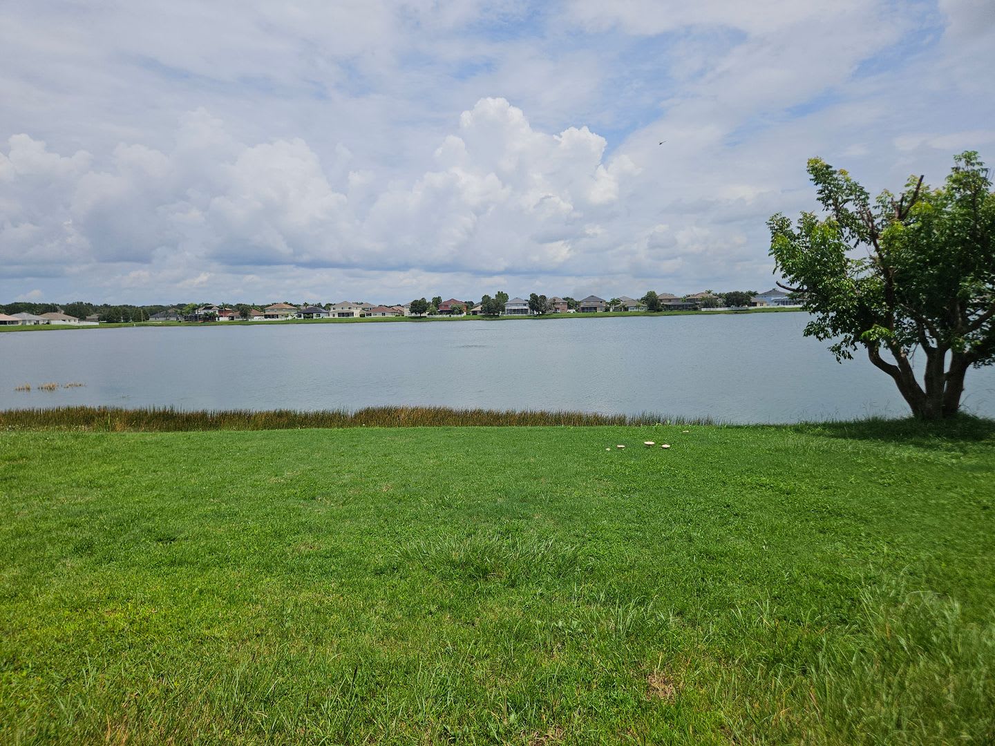 Lake View 3-Bedroom Home with No Rear Neighbors – photo 3