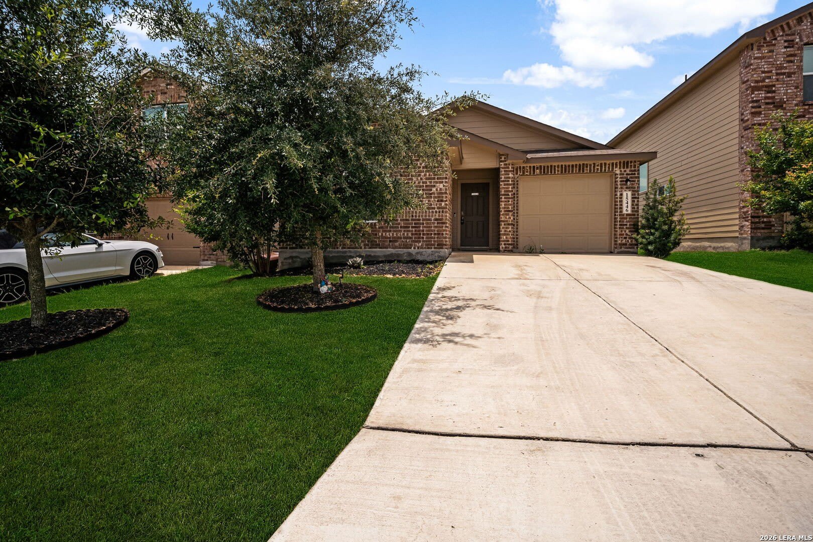 15446 Shortwing – photo 2
