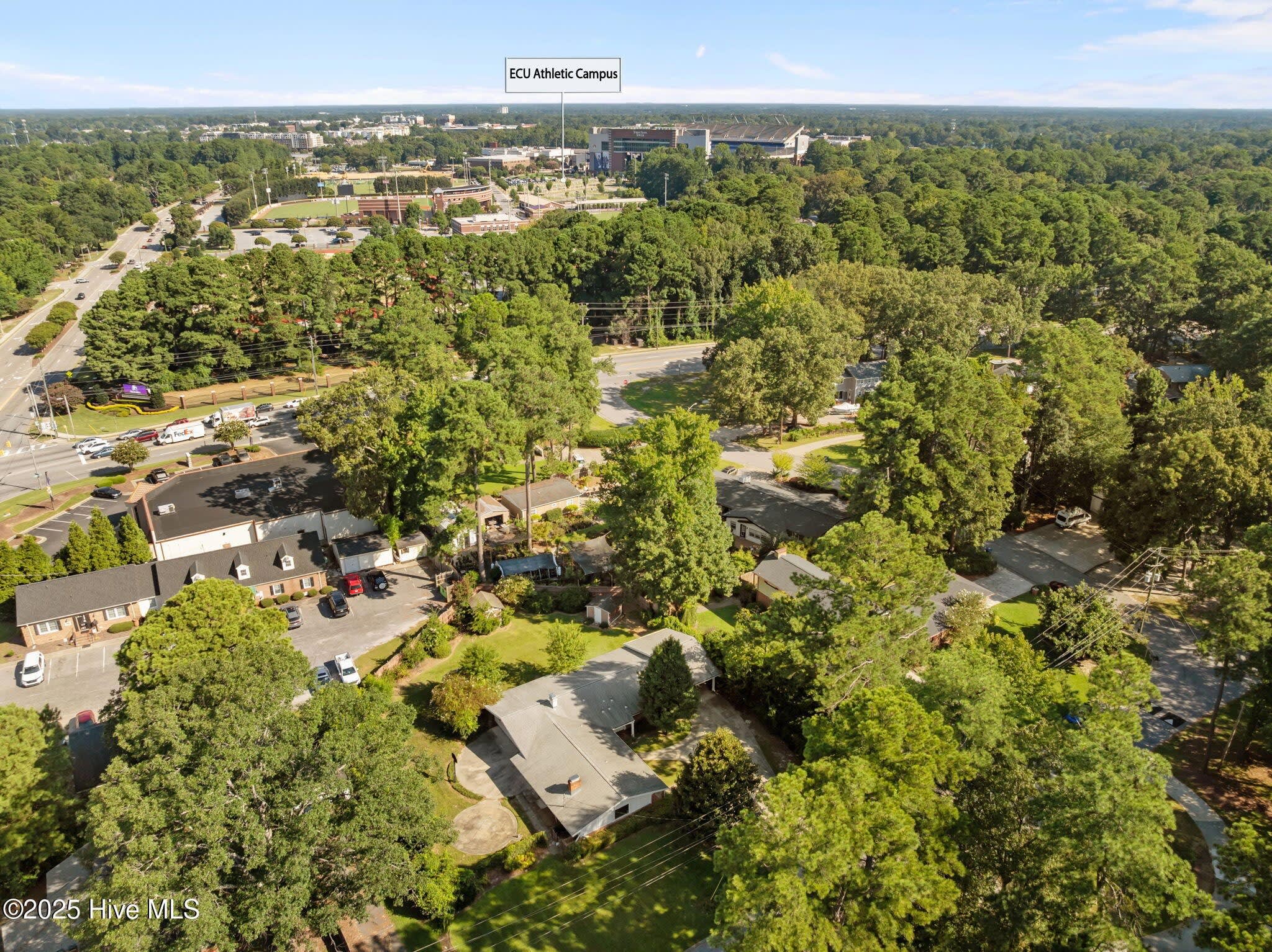 2003 Forest Hill Drive – photo 5