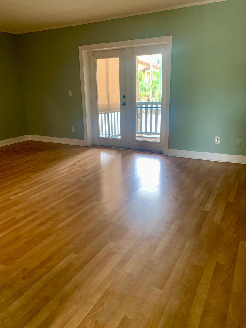 Westshore District South Tampa Condo – photo 4