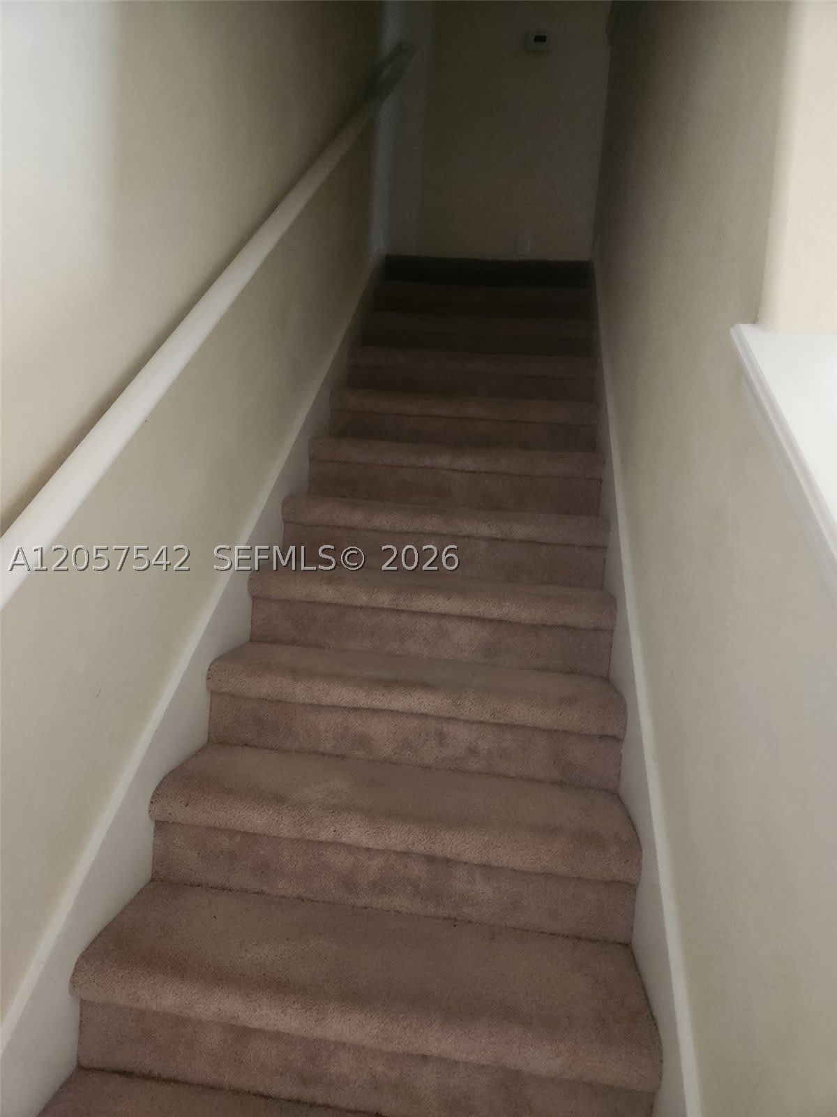330 Carina Cir – photo 5