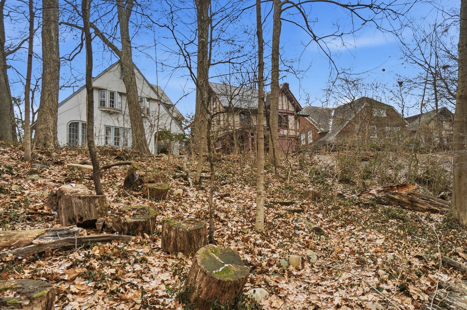 NEWLY RENOVATED Private House on iuka ave Ravine – Central Campus – Newly Renovated – photo 5