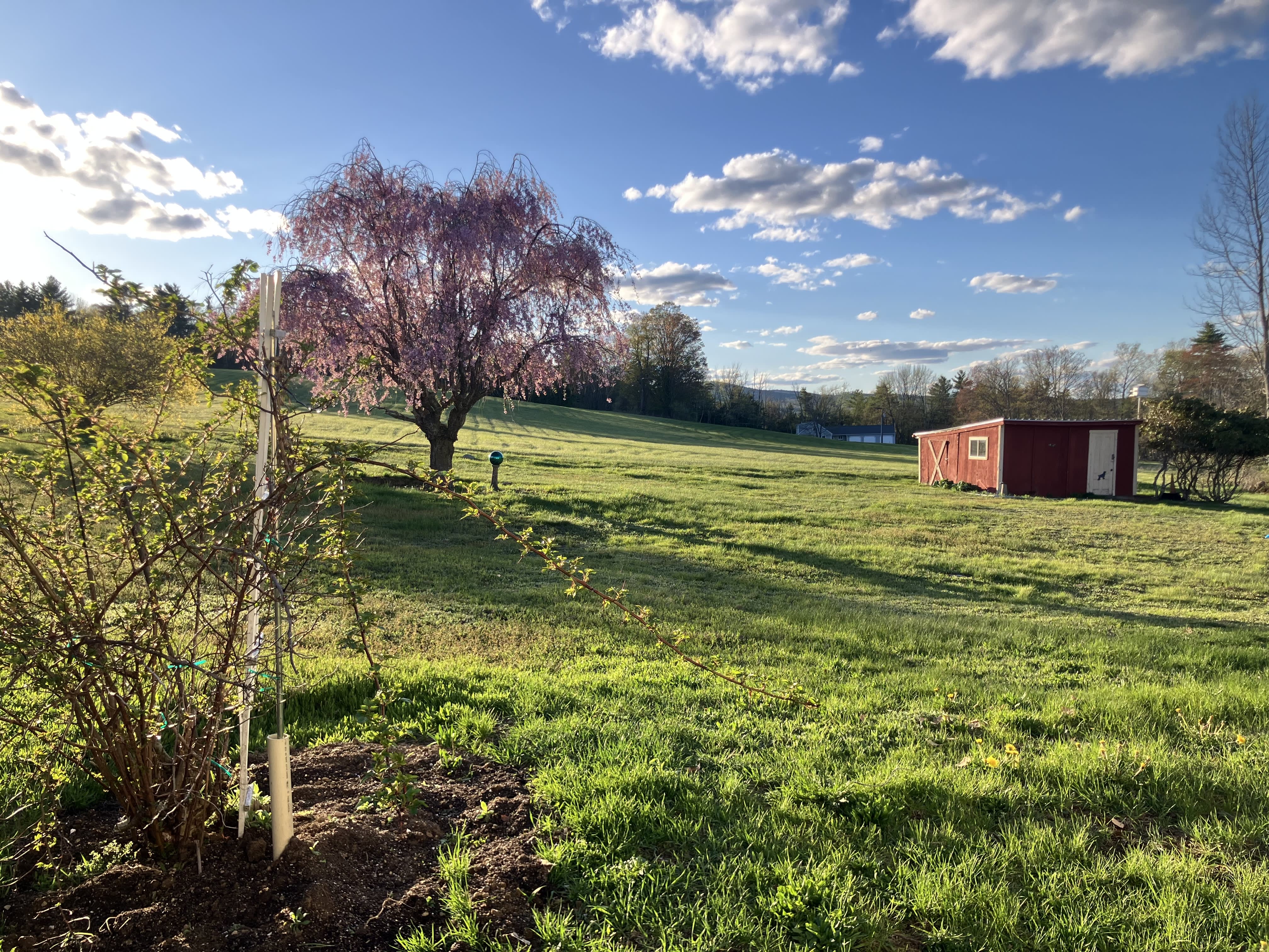 175 First Crown Point Road – photo 4