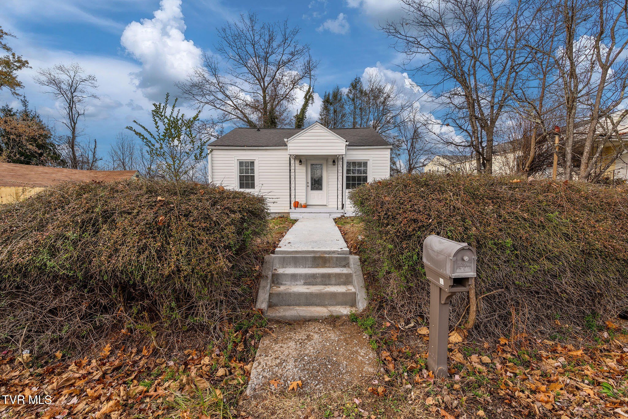 11 Birch Street – photo 3