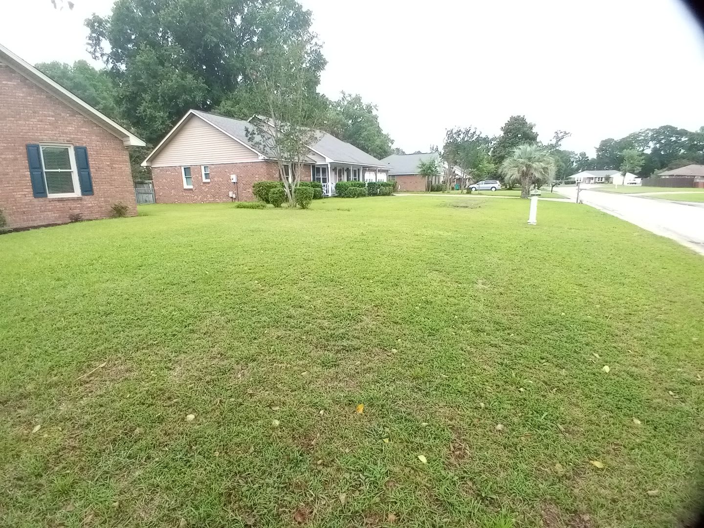 350 Katydid Street – photo 2
