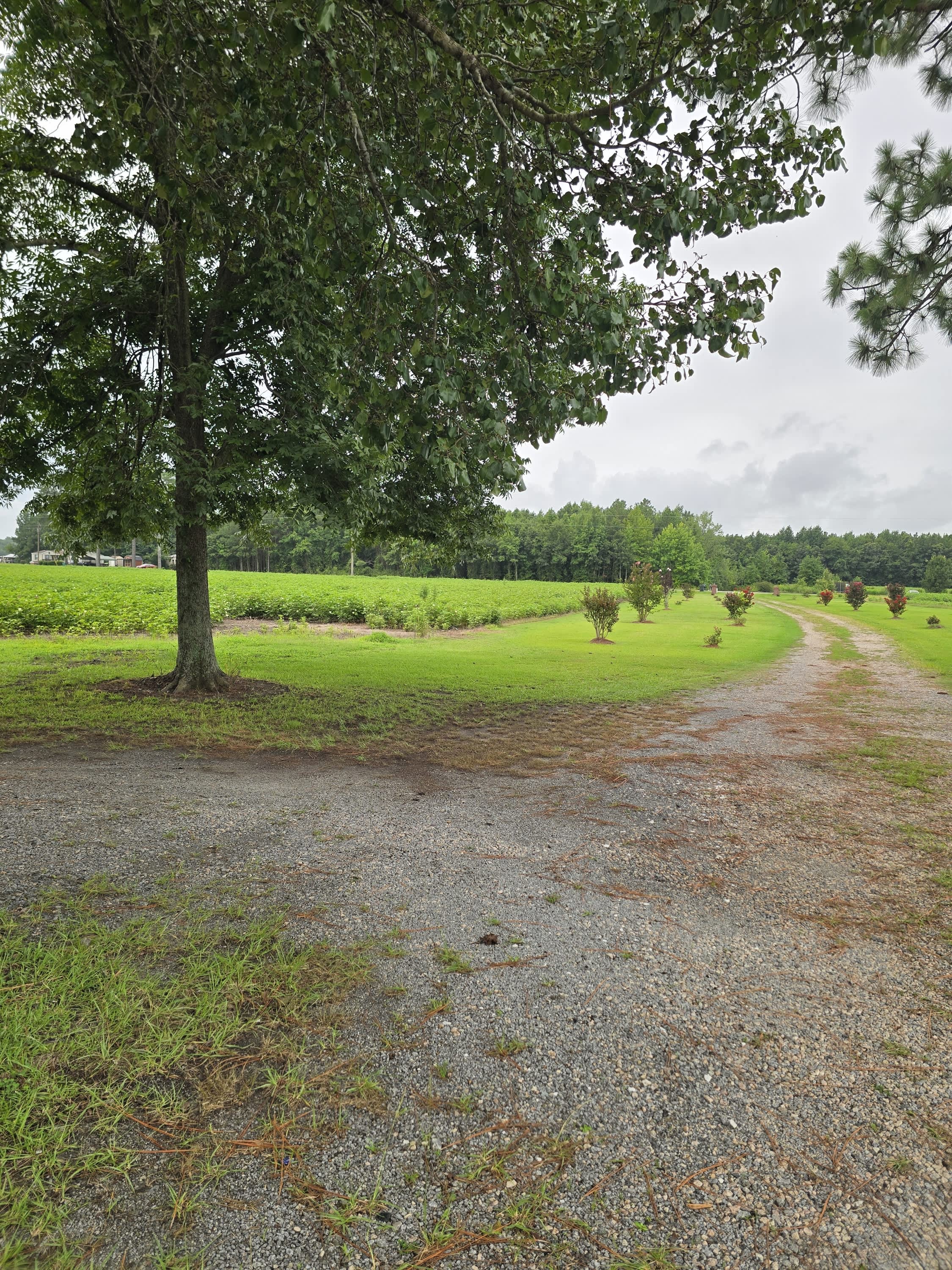 1717 Black Road – photo 2