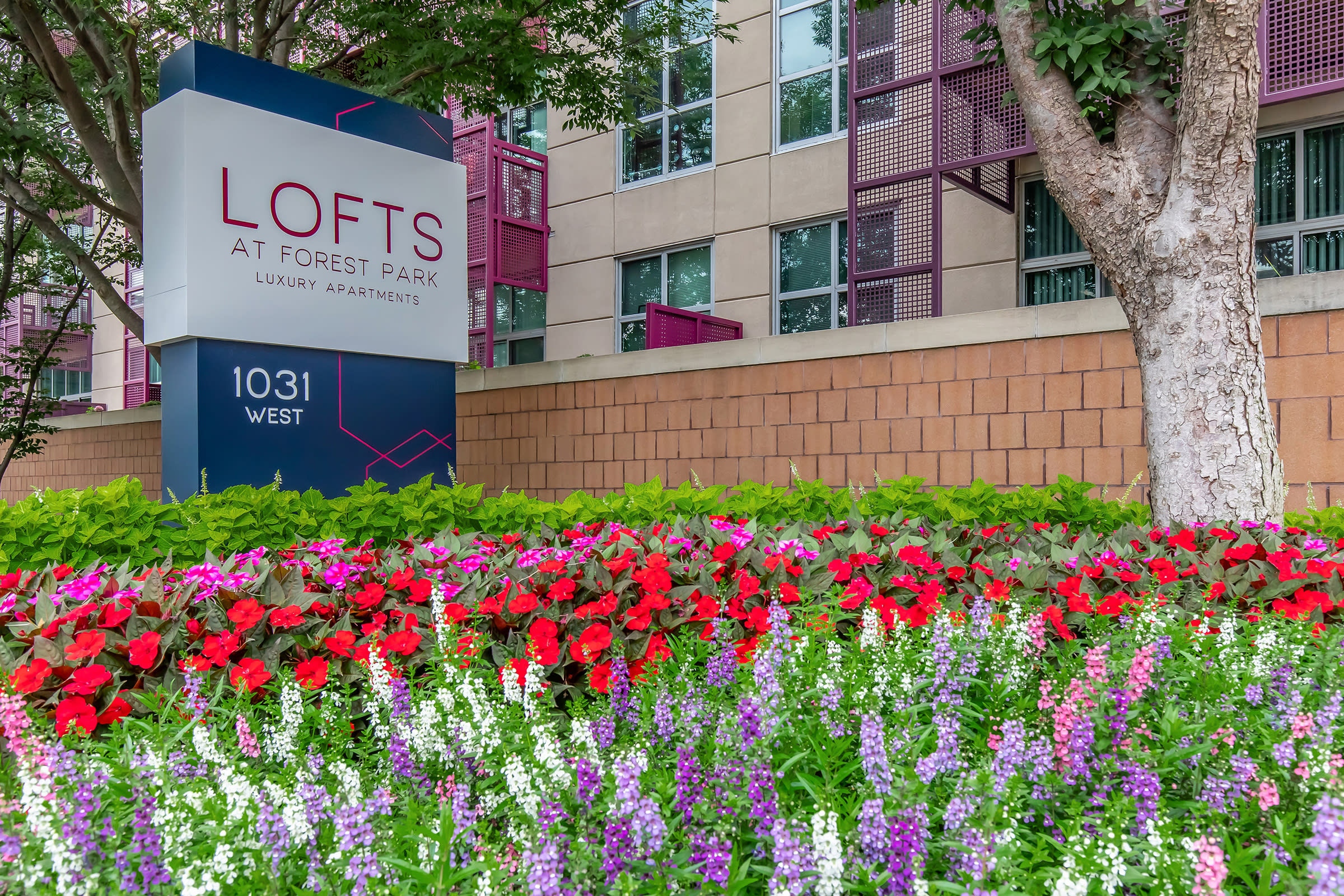 Lofts at Forest Park – photo 3