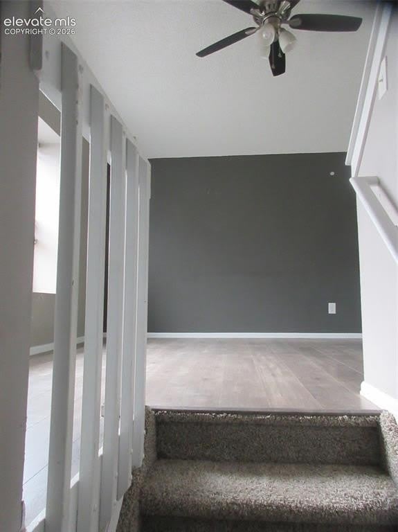 649 Autumn Place – photo 5