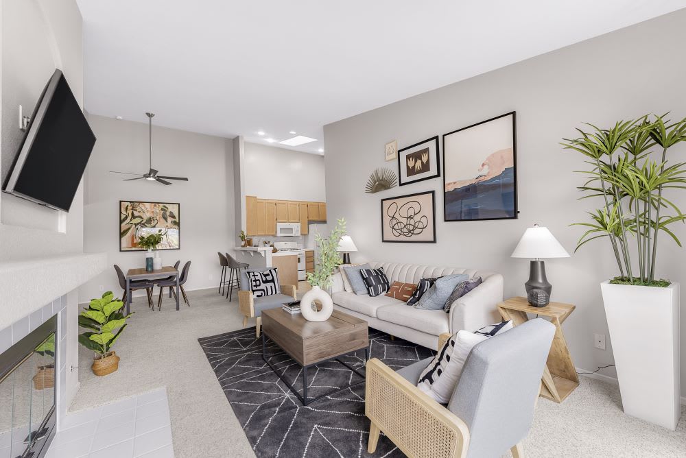 Sofi Canyon Hills – photo 4