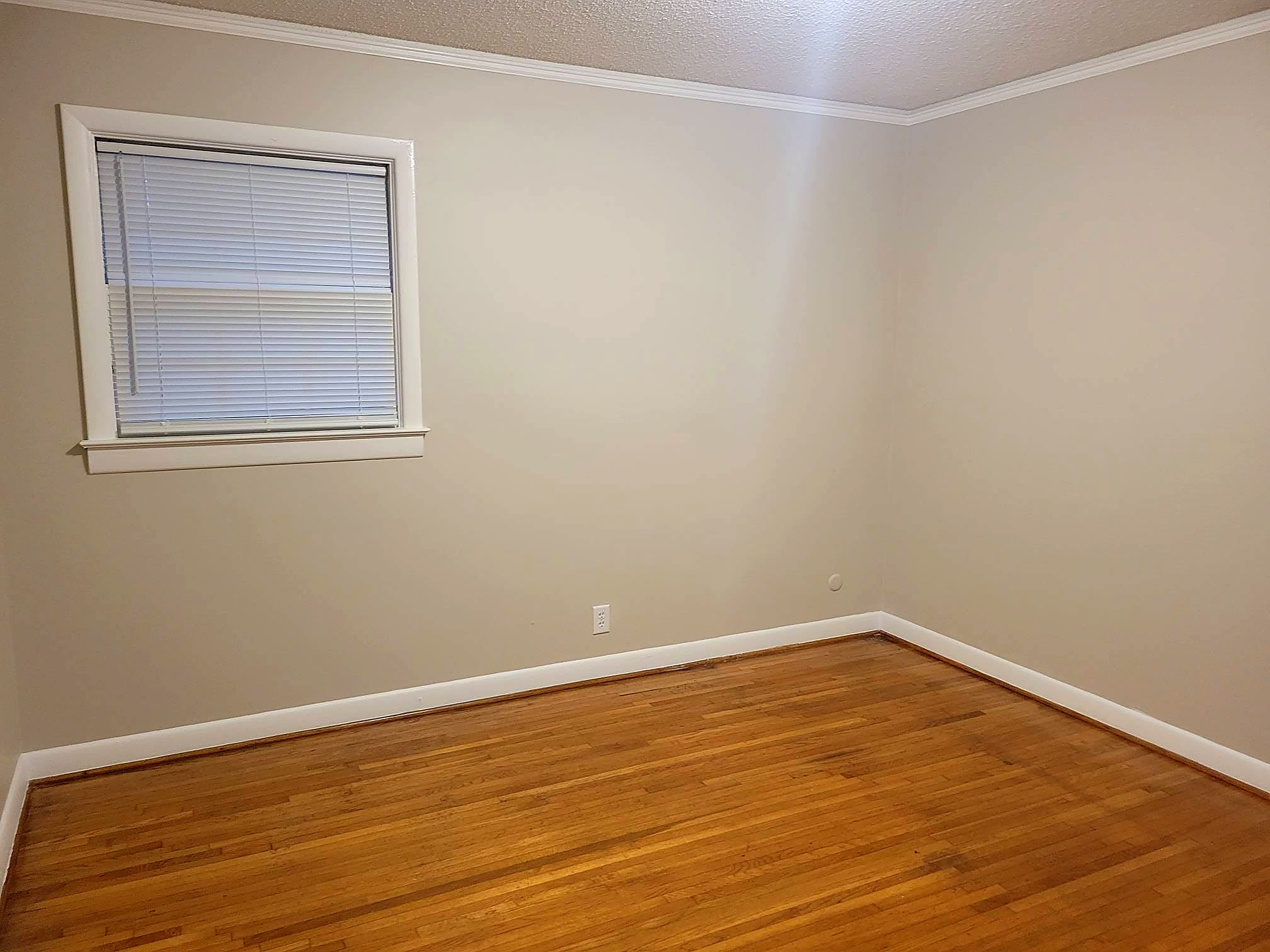 6546 Haley Dr – photo 2