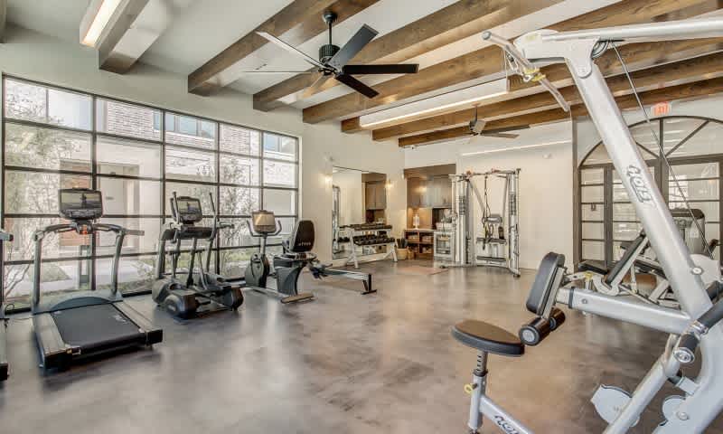 Elan Inwood – photo 4