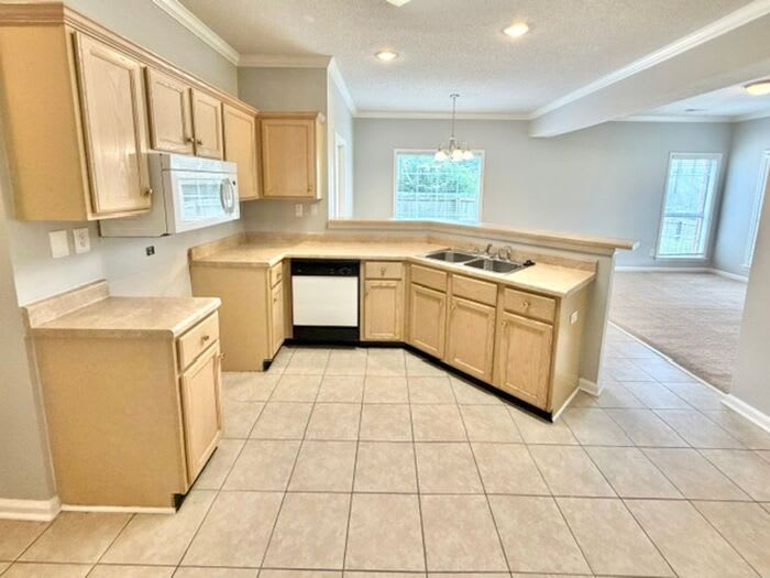 8611 High Cotton Cove – photo 5