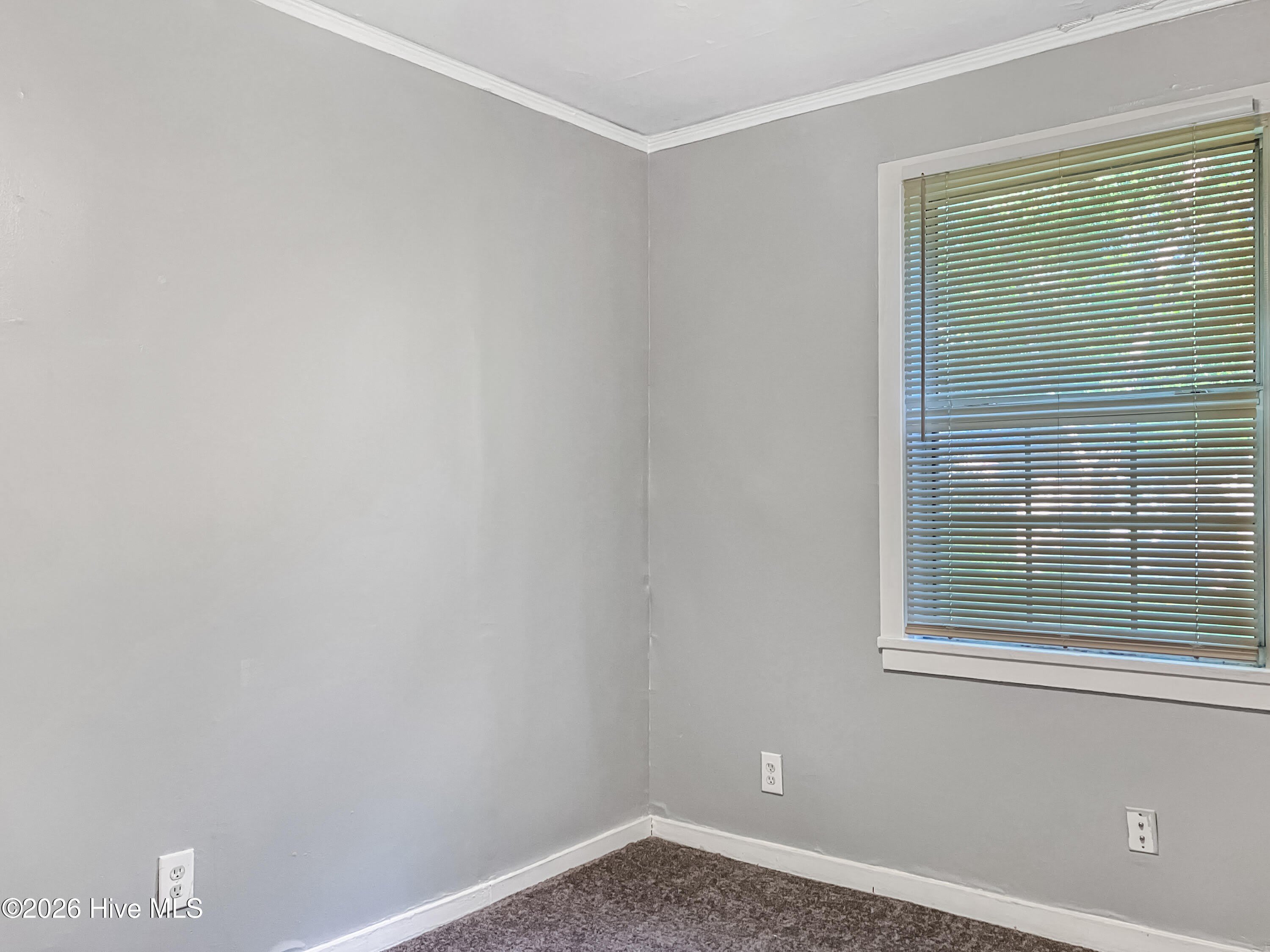 2475 Reese Avenue – photo 4