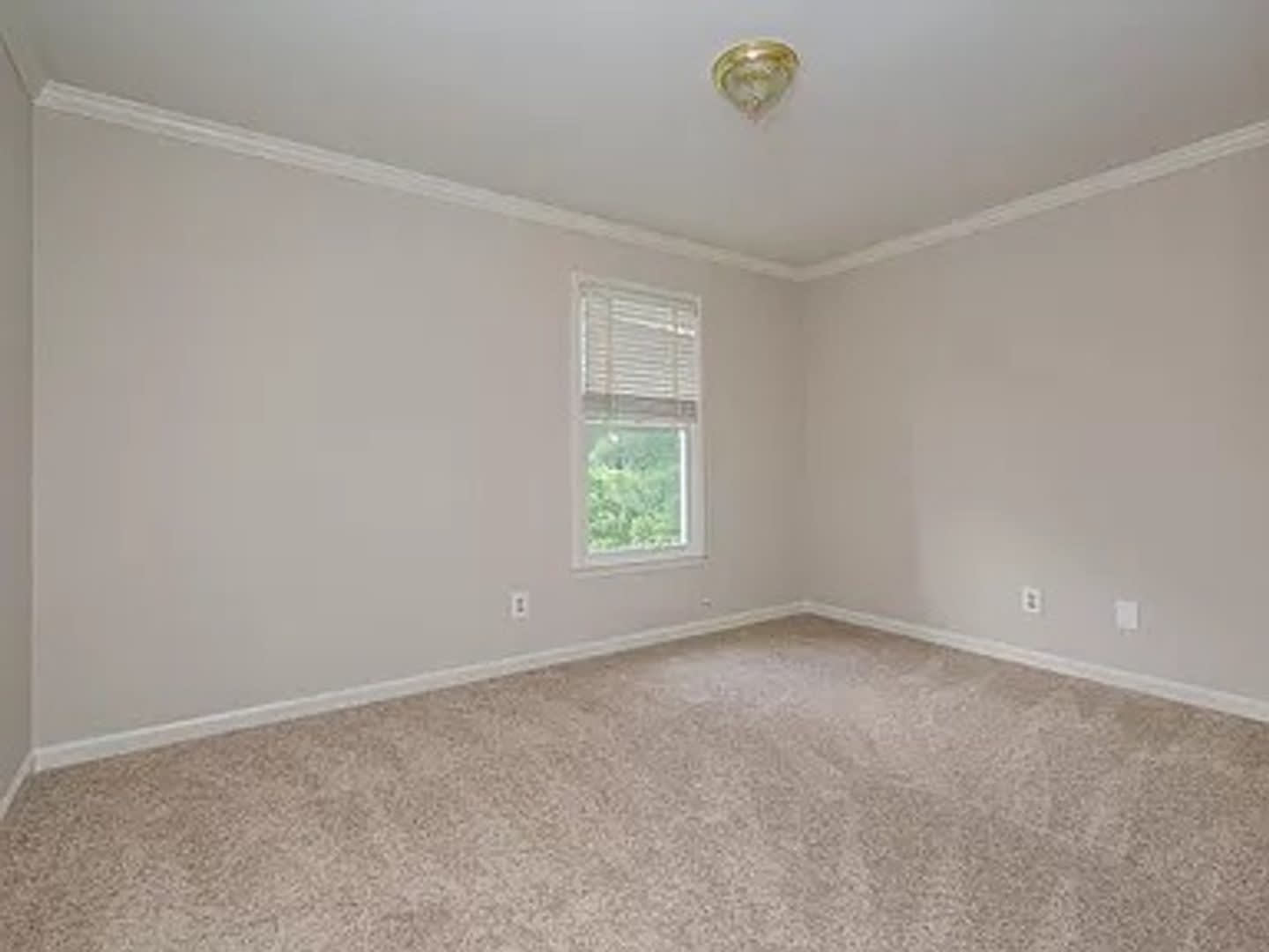 Coming Soon! Conifer Place just off Wheeler Rd! – photo 5
