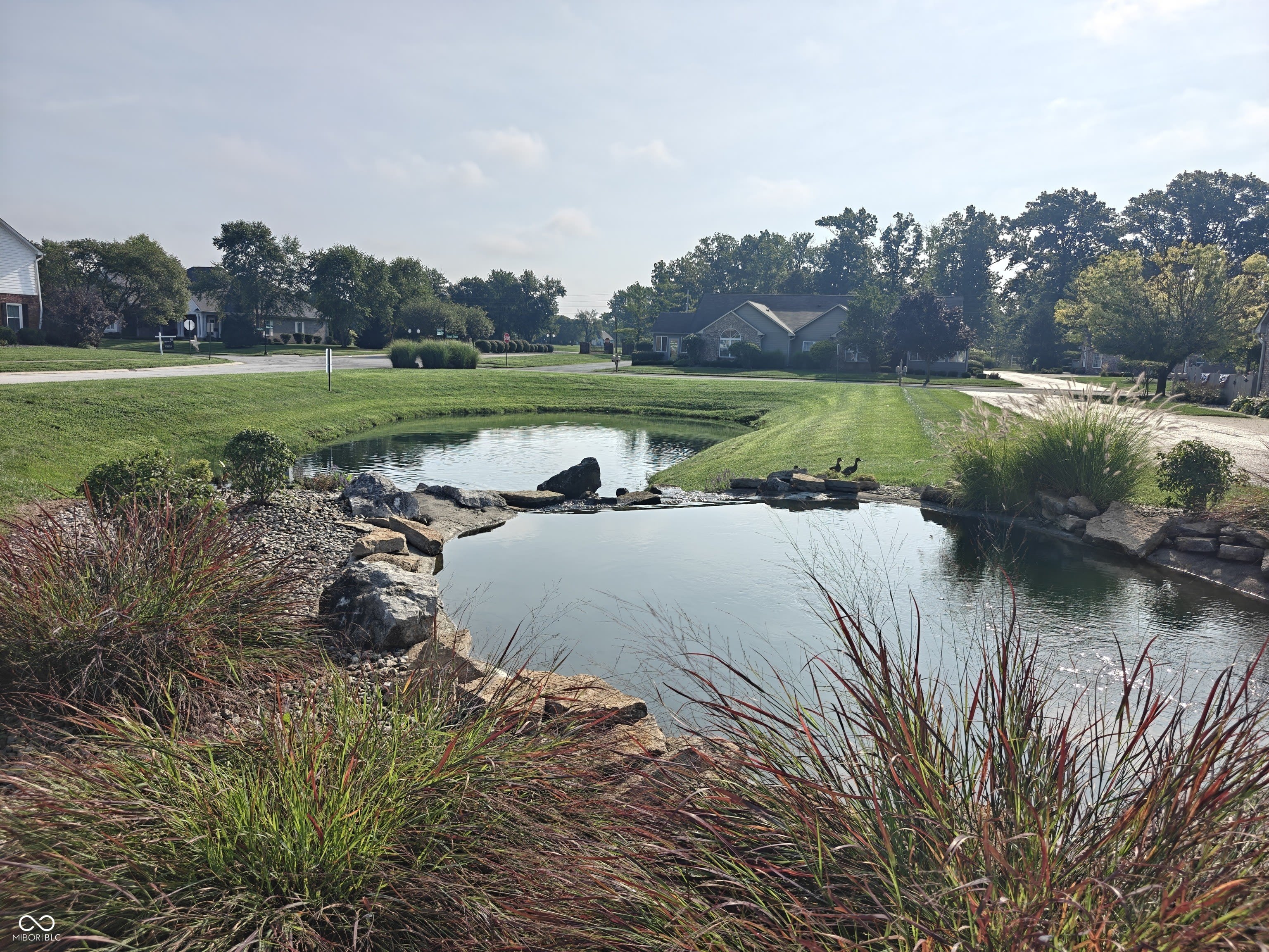 2392 Steeple Chase – photo 3